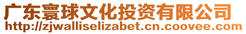 廣東寰球文化投資有限公司