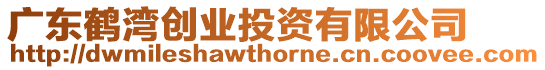 廣東鶴灣創(chuàng)業(yè)投資有限公司