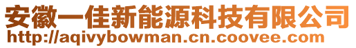 安徽一佳新能源科技有限公司