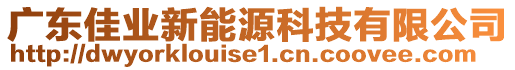 廣東佳業(yè)新能源科技有限公司