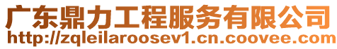 廣東鼎力工程服務有限公司