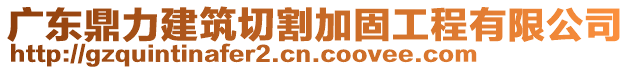 廣東鼎力建筑切割加固工程有限公司