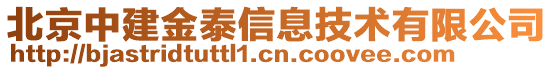 北京中建金泰信息技術(shù)有限公司