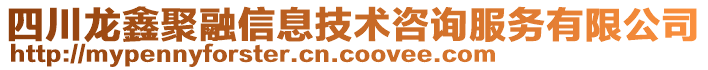 四川龍鑫聚融信息技術咨詢服務有限公司