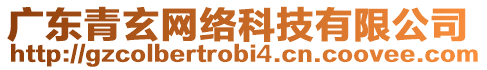 廣東青玄網(wǎng)絡(luò)科技有限公司