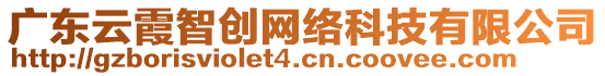 廣東云霞智創(chuàng)網(wǎng)絡(luò)科技有限公司