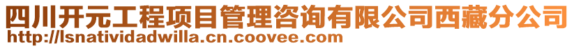 四川開元工程項目管理咨詢有限公司西藏分公司