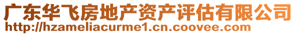 廣東華飛房地產資產評估有限公司