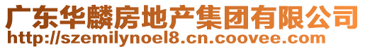 廣東華麟房地產(chǎn)集團(tuán)有限公司