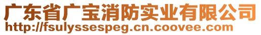 廣東省廣寶消防實業(yè)有限公司