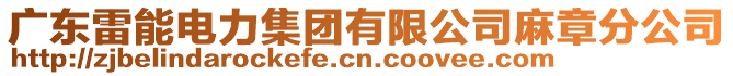 廣東雷能電力集團有限公司麻章分公司