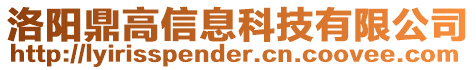 洛陽(yáng)鼎高信息科技有限公司