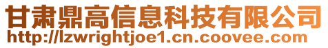 甘肅鼎高信息科技有限公司