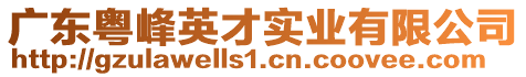 廣東粵峰英才實業(yè)有限公司