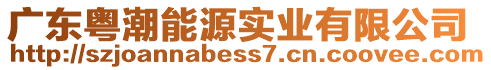 廣東粵潮能源實業(yè)有限公司