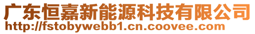 廣東恒嘉新能源科技有限公司