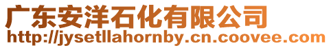 廣東安洋石化有限公司