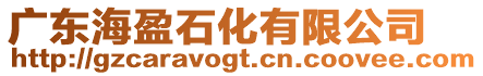 廣東海盈石化有限公司