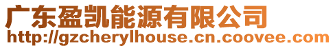 廣東盈凱能源有限公司