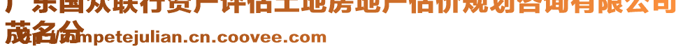 廣東國眾聯(lián)行資產評估土地房地產估價規(guī)劃咨詢有限公司
茂名分