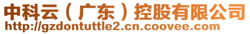 中科云（廣東）控股有限公司