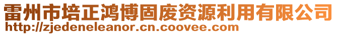 雷州市培正鴻博固廢資源利用有限公司