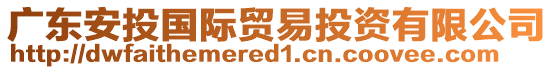 廣東安投國際貿(mào)易投資有限公司