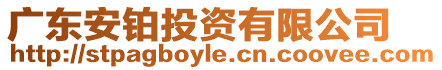 廣東安鉑投資有限公司