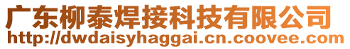 广东柳泰焊接科技有限公司