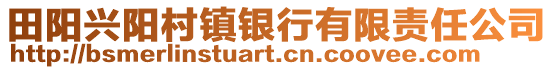 田阳兴阳村镇银行有限责任公司