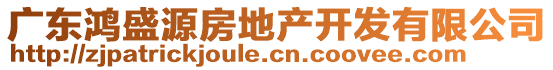 廣東鴻盛源房地產(chǎn)開(kāi)發(fā)有限公司