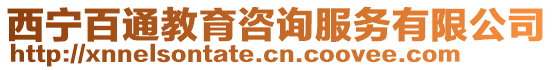 西寧百通教育咨詢服務有限公司