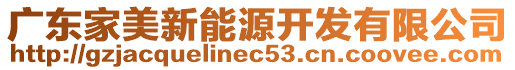 廣東家美新能源開發(fā)有限公司