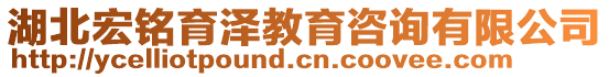 湖北宏銘育澤教育咨詢(xún)有限公司