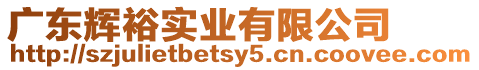 廣東輝裕實(shí)業(yè)有限公司