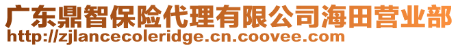 廣東鼎智保險代理有限公司海田營業(yè)部