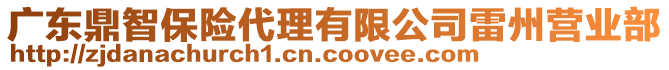 廣東鼎智保險(xiǎn)代理有限公司雷州營業(yè)部