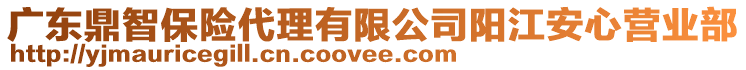 廣東鼎智保險(xiǎn)代理有限公司陽江安心營業(yè)部