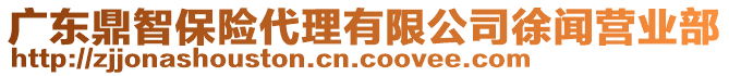 廣東鼎智保險(xiǎn)代理有限公司徐聞營業(yè)部