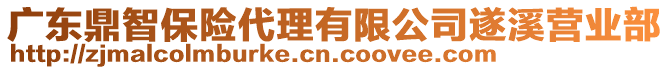 廣東鼎智保險代理有限公司遂溪營業(yè)部