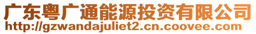 廣東粵廣通能源投資有限公司