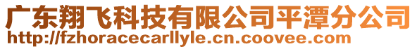 廣東翔飛科技有限公司平潭分公司