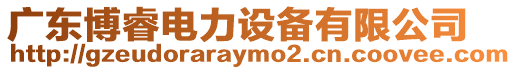 廣東博睿電力設備有限公司