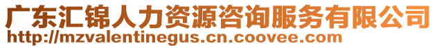 廣東匯錦人力資源咨詢服務(wù)有限公司