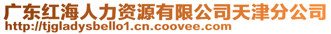 廣東紅海人力資源有限公司天津分公司