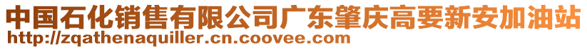 中國石化銷售有限公司廣東肇慶高要新安加油站