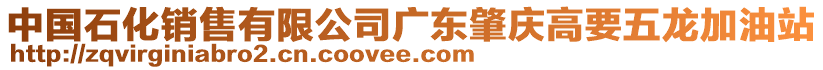 中國石化銷售有限公司廣東肇慶高要五龍加油站