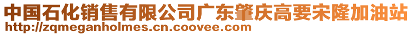 中國石化銷售有限公司廣東肇慶高要宋隆加油站