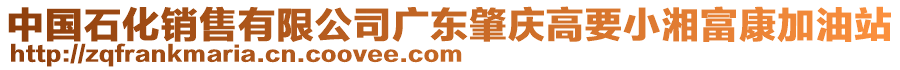 中國石化銷售有限公司廣東肇慶高要小湘富康加油站