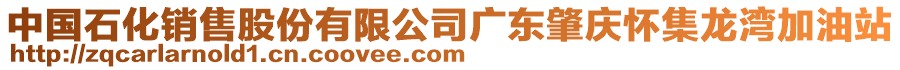 中國(guó)石化銷售股份有限公司廣東肇慶懷集龍灣加油站